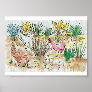 Chickens In The Chard Poster