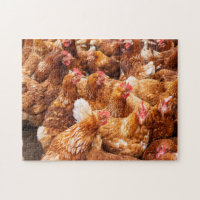 Chickens