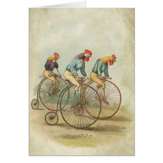Chickens on Vintage Bikes