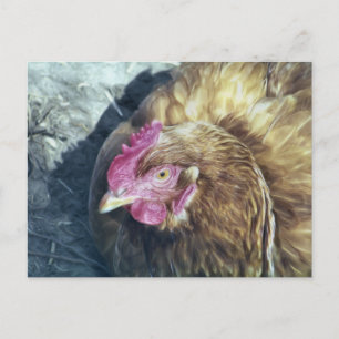 CHICKENS POSTCARD