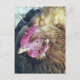 CHICKENS POSTCARD
