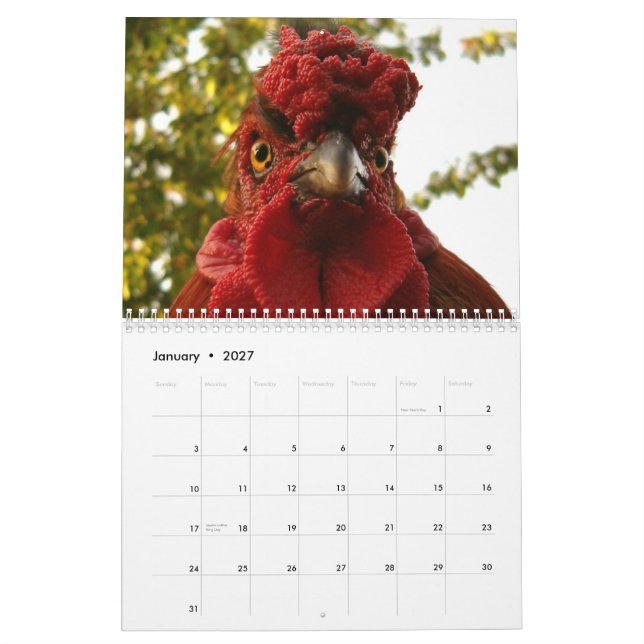 Chickens & Roosters Calendar (Jan 2027)