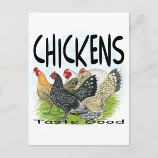Chickens Taste Good! Postcard