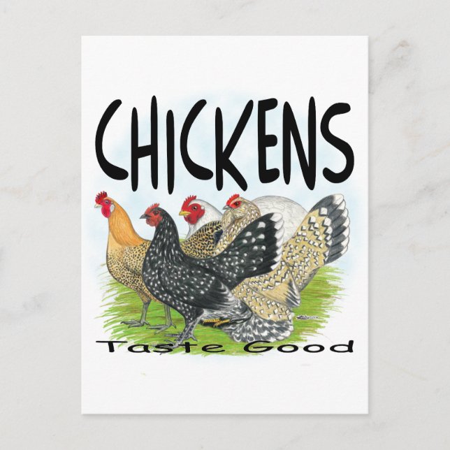 Chickens Taste Good! Postcard (Front)