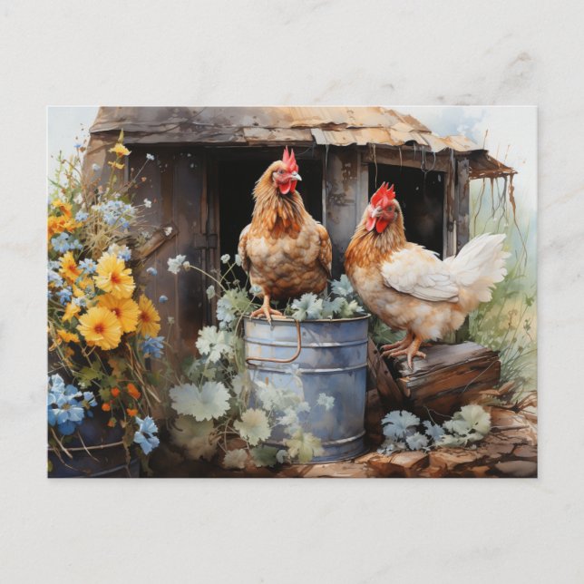 Chickens Tin Bucket Chicken Coop Yellow Flowers  Postcard (Front)