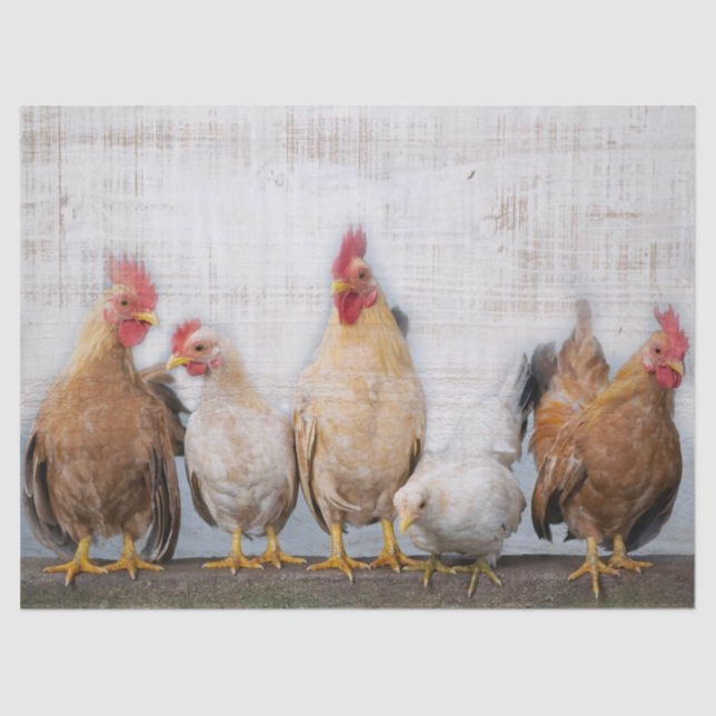 Chickens Tissue Paper (Front)