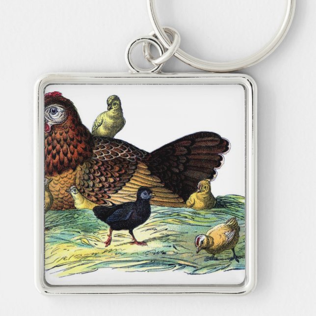 Chickens Vintage Animal Key Ring (Front)
