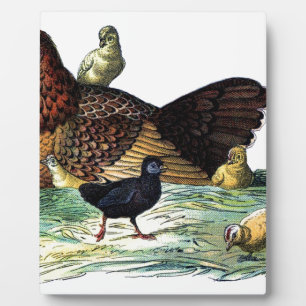 Chickens Vintage Animal Plaque