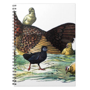 Chickens Vintage Animal Spiral Notebook