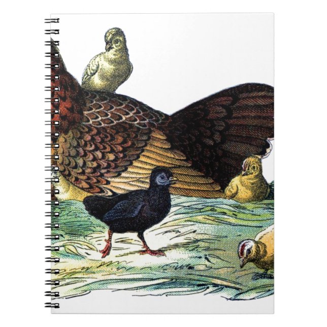 Chickens Vintage Animal Spiral Notebook (Front)