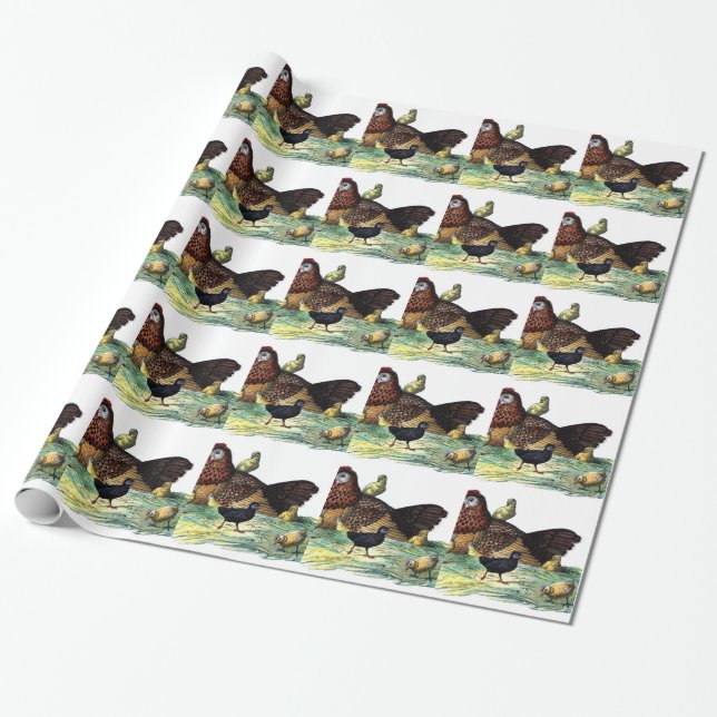 Chickens Vintage Animal Wrapping Paper (Unrolled)