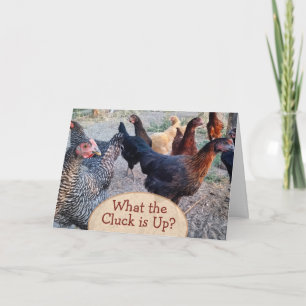Chickens What's Up Funny Humour Card
