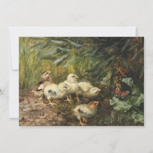 Chicks and a Butterfly Franz Xaver Birkinger