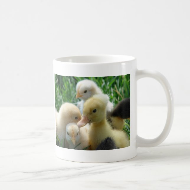 Chicks and Ducklings Coffee Mug (Right)