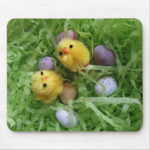Chicks and Eggs Mouse Pad