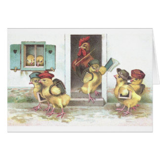 Chicks at School and Rooster Teacher