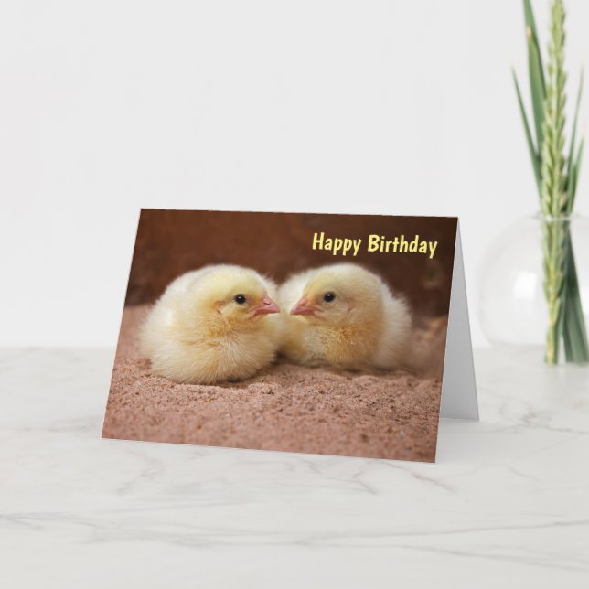 Chicks Card BIRTHDAY (Front)