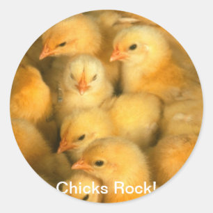 Chicks Rock! Baby Chicks Chick Chicken Chickens Classic Round Sticker