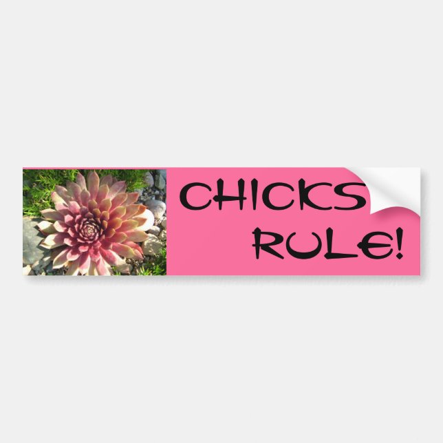 CHICKS, RULE! BUMPER STICKER (Front)