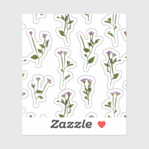 Chickweed Willowherb - Epilobium alsinifolium