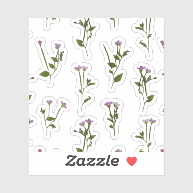 Chickweed Willowherb - Epilobium alsinifolium (Sheet)