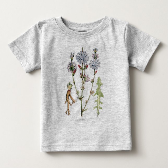 Chicory Baby T-Shirt (Front)