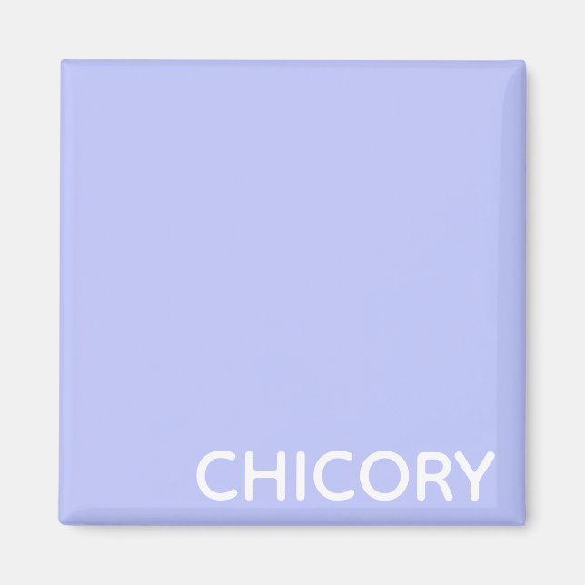 Chicory Flower blue colour name Magnet (Front)