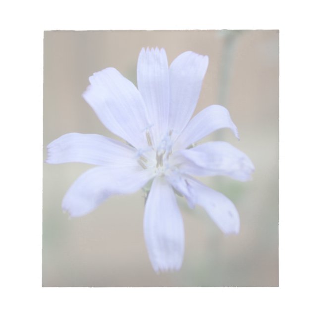 Chicory Notepad (Front)