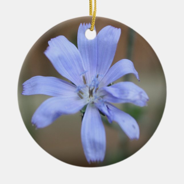 Chicory Ornament (Front)