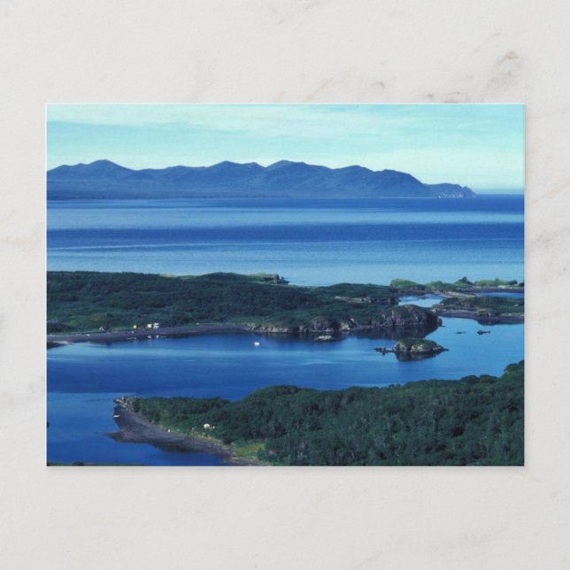 Chief Cove Kodiak Postcard (Front)