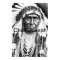 Chief Joseph 1 Posters-Prints