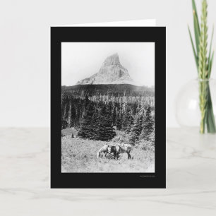Chief Mountain from Glacier National Park 1925 Card