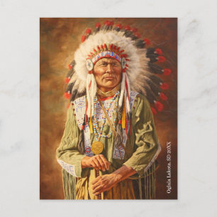Chief Native American Lakota Postcard