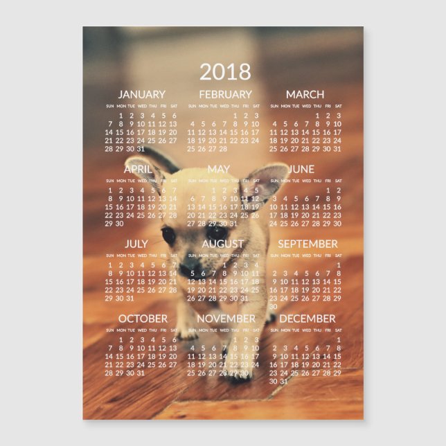 Chihuahua 2018 Calendar Photo Magnetic Card 5x7 (Front)