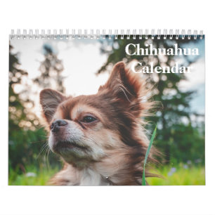 Chihuahua 2025 calendar