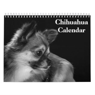 Chihuahua 2025 calendar