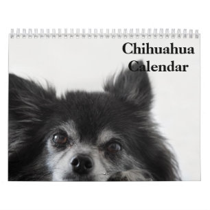 Chihuahua 2027 calendar