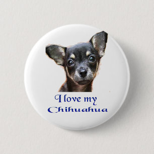 Chihuahua 6 Cm Round Badge