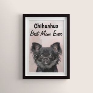 Chihuahua Best Mum Poster