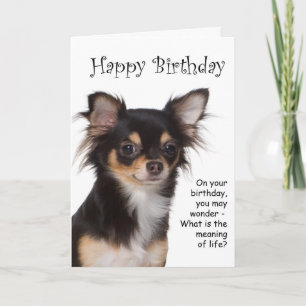 Chihuahua Birthday Card