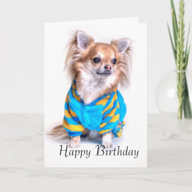 Chihuahua Birthday Card (Front)