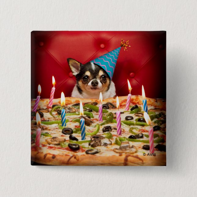 Chihuahua Birthday Pizza Pie 15 Cm Square Badge (Front)