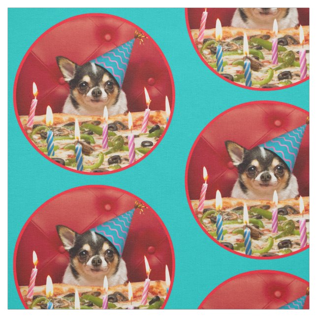 Chihuahua Birthday Pizza Pie Fabric (Swatch)
