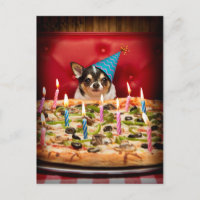 Chihuahua Birthday Pizza Pie