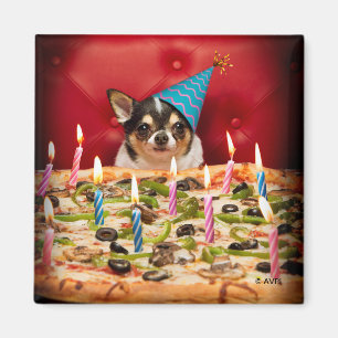 Chihuahua Birthday Pizza Pie Magnet