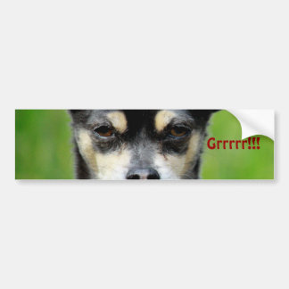 Chihuahua! Bumper Sticker