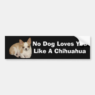Chihuahua Bumper Sticker