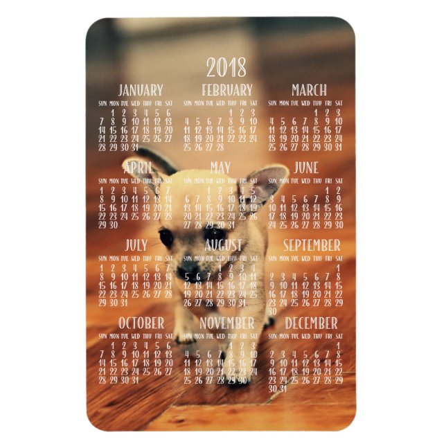 Chihuahua Calendar 2018 Photo Magnet 4x6 Large (Vertical)