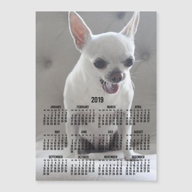 Chihuahua Calendar 2019 Magnetic Photo Card 5x7 (Front)