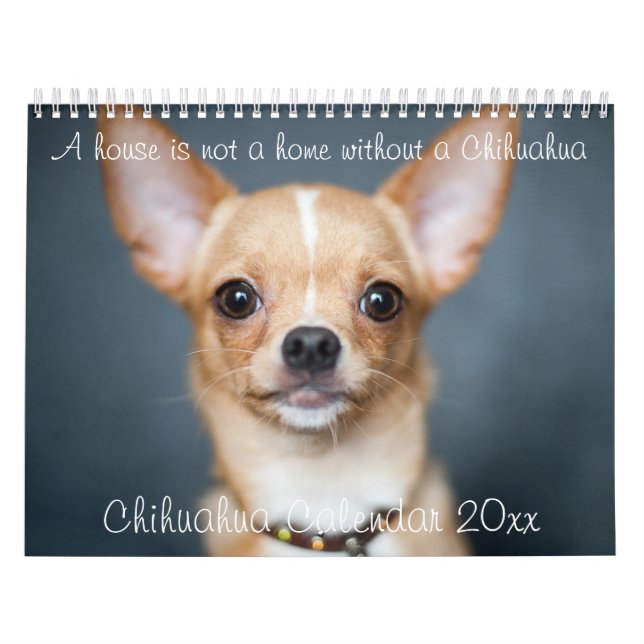 Chihuahua Calendar 2023 House Is Not A Home Photo (Cover)
